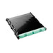 EAN 0012502626473 - Brother BU300CL correa para impresora 50000 páginas imagen 1