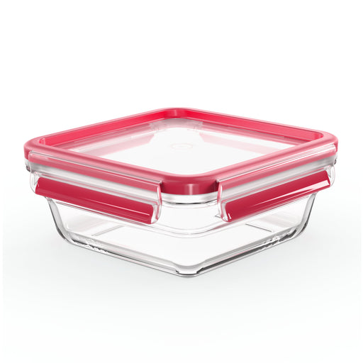 EAN 4009049540146 - EMSA CLIP & CLOSE N10414 Plaza Caja 0,8 L Transparente 1 pieza(s) imagen 1