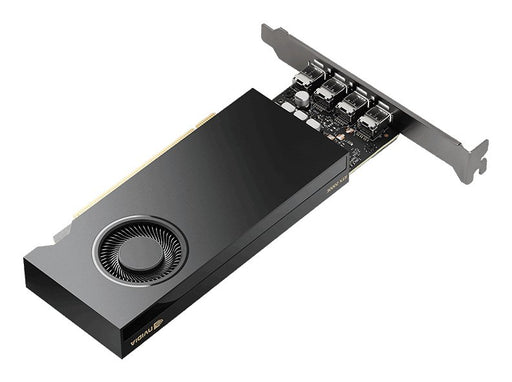 EAN 3536403400934 - PNY VCNRTX2000EADA-PL tarjeta gráfica NVIDIA RTX 2000E Ada 16 GB GDDR6 imagen 1