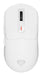 EAN 5901969444858 - GENESIS NMG-2194 ratón Juego Ambidextro Bluetooth + USB Type-C Óptico 26000 DPI imagen 1