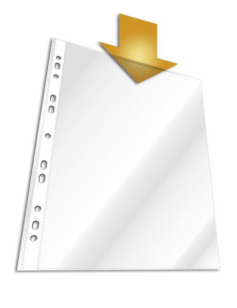EAN 4005546231006 - Durable 2662-19 protector de hojas 210 x 297 mm (A4) Polipropileno (PP) 10 pieza(s) imagen 1