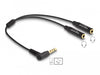 EAN 4043619662425 - DeLOCK 66242 cable de audio 0,25 m 3,5mm 2 x 3.5mm Negro imagen 1