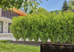 EAN 4066407003002 - Gardena 13501-20 sistema de riego por goteo imagen 3