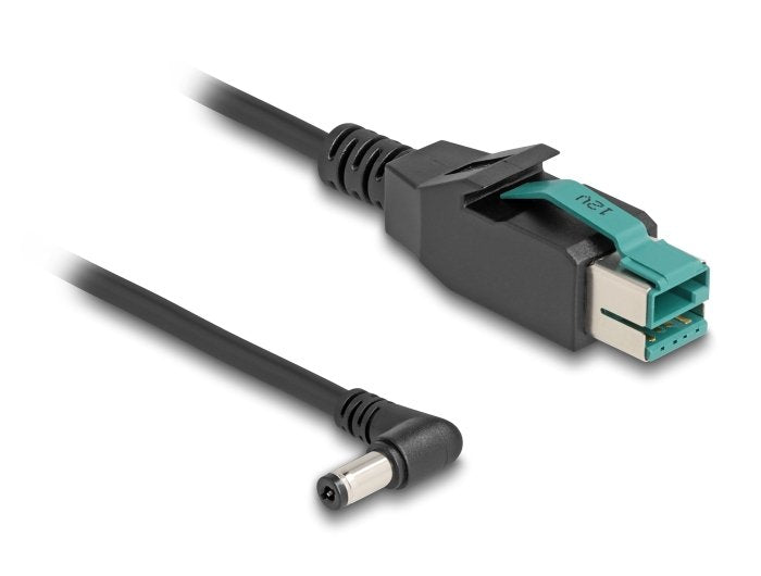 Delock 80013 Cable Poweredusb Macho 12 V A Dc 5,5 X 2,1 Mm Macho Sesgado 3 M