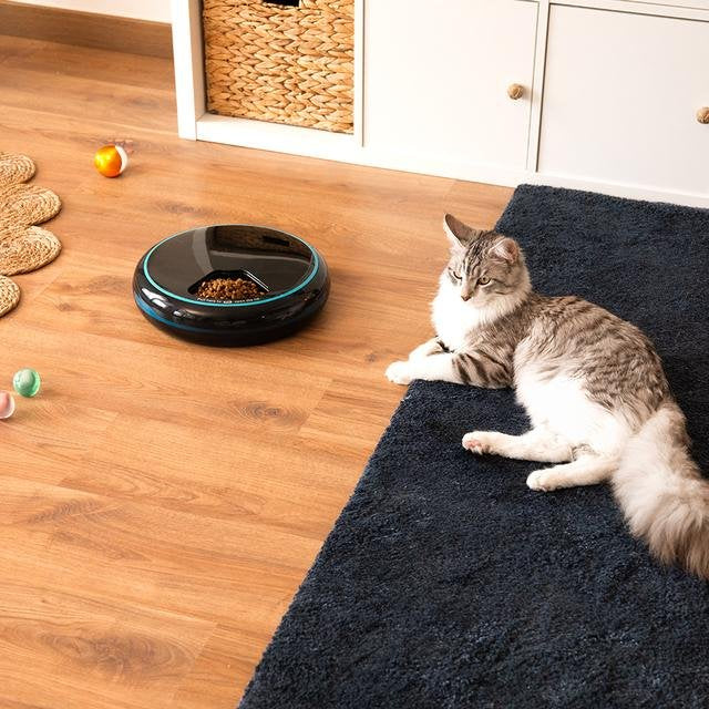 EAN 8435484095624 - Cecotec Pumba 1600 Purrfect Meal comedero y bebedero para perro y gato Negro Comedero automático para mas imagen 5