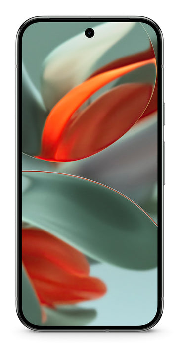 EAN 0840353914544 - Google Pixel 9 Pro XL 17,3 cm (6.8") SIM doble Android 14 5G USB Tipo C 16 GB 256 GB 5060 mAh Verde imagen 1