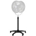 EAN 4250234573641 - Walimex 17364 tripode Universal 5 pata(s) Negro imagen 1