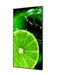 EAN 5028695125926 - NEC MultiSync E988 Pantalla plana para señalización digital 2,48 m (97.5") LCD 350 cd / m² 4K Ultra HD Ne imagen 3