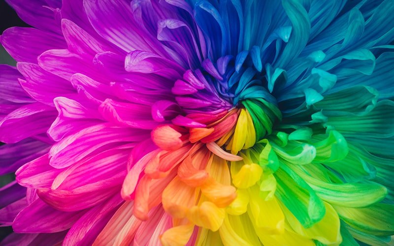 EAN 8715946688787 - Epson EF-12 imagen 89