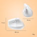 EAN 5099206099906 - Logitech 910-006477 ratón Oficina mano derecha RF Wireless + Bluetooth Óptico 4000 DPI imagen 13