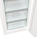 EAN 3838782643545 - Gorenje FN619EAW6 Congelador vertical Independiente 280 L Blanco imagen 16