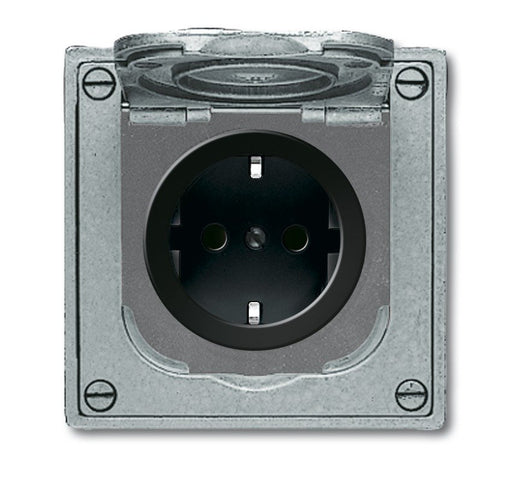 EAN 4011395107614 - Busch-Jaeger 2011-0-3871 toma de corriente CEE 7/3 Negro, Gris imagen 1