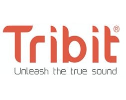 EAN 0191377023485 - Tribit T-BTS13 altavoz Bluetooth mano libres Negro 5.3 imagen 1