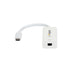 EAN 0065030875813 - StarTech.com CDP2MDP Adaptador gráfico USB 3840 x 2160 Pixeles imagen 4