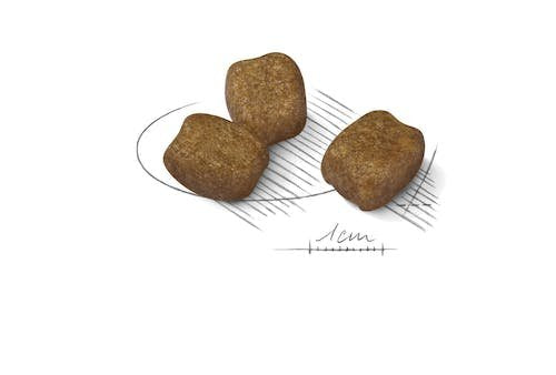 EAN 3182550894371 - Royal Canin Mini Dental Care 3 kg Adulto Aves imagen 2