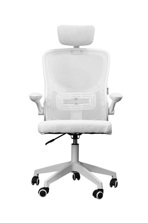 EAN 8435693109174 - Mars Gaming MGC-ERGOPLUS Asiento acolchado Respaldo de rejilla imagen 1