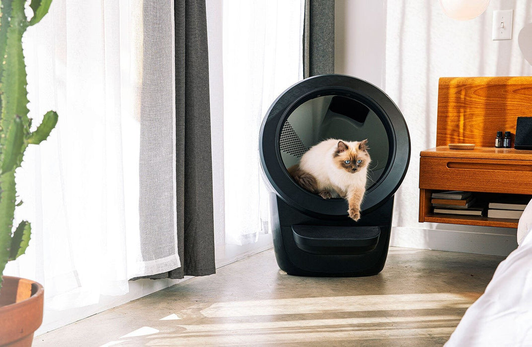 Whisker Litter-Robot 4 - Negro - Eu