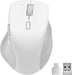 EAN 4027301119183 - SPEEDLINK LIBERA Rechargeable Mouse ratón Juego mano derecha RF Wireless + Bluetooth Óptico 3200 DPI imagen 2