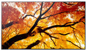 EAN 4550556130974 - Sharp MultiSync M552 Pantalla plana para señalización digital 139,7 cm (55") LCD 550 cd / m² 4K Ultra HD  imagen 2
