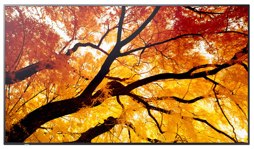 EAN 5715328282667 - Sharp MultiSync M552 Pantalla plana para señalización digital 139,7 cm (55") LCD 550 cd / m² 4K Ultra HD  imagen 2