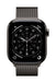 EAN 195950659719 - Apple MGJ14ZM/A Accesorios para dispositivos vestibles inteligentes Grupo de rock Color pizarra Acero inox imagen 1