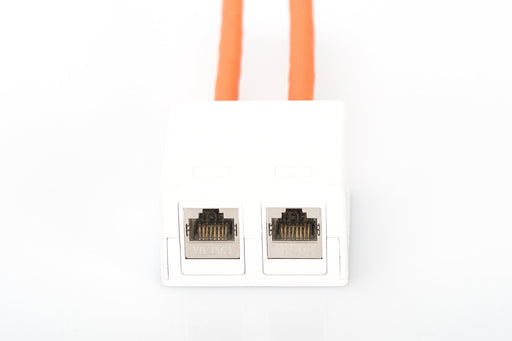 EAN 4016032180135 - Digitus AT-AG 302A-WH caja de tomacorriente RJ-45 Blanco imagen 2