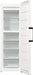 EAN 3838782643545 - Gorenje FN619EAW6 Congelador vertical Independiente 280 L Blanco imagen 5