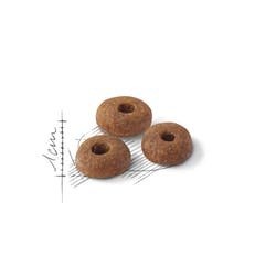 EAN 3182550702201 - Royal Canin Feline Fit 2kg alimento seco para gatos Adulto imagen 2