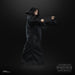 EAN 5010993959648 - Star Wars The Black Series F43665X0 toy figure imagen 4