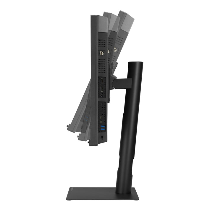 Asus Proart Pa32usd 81.28cm 16:9 Oled Hdmi Dp Th.-Bolt