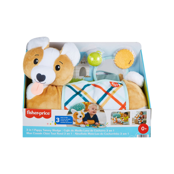 EAN 0194735095896 - Fisher-Price HJW10 juego educativo imagen 6