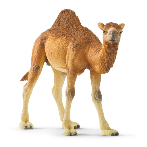 EAN 4059433039671 - schleich Vida Salvaje 14832 figura de juguete para niños imagen 2
