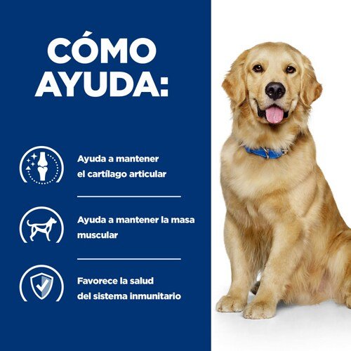 EAN 0052742918303 - Hills 606275 alimento húmedo para perros Ternera Universal 12 kg imagen 3