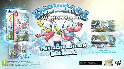 EAN 7350002932469 - Clear River Games Snow Bros Wonderland Estándar Nintendo Switch imagen 4
