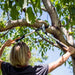 EAN 6411501123909 - Fiskars 1020187 tijera podadora Podadora con corte bypass imagen 3