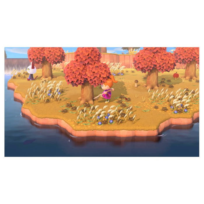 EAN 0045496313777 - Nintendo Animal Crossing: New Horizons Estándar Inglés, Español Nintendo Switch 2 imagen 17