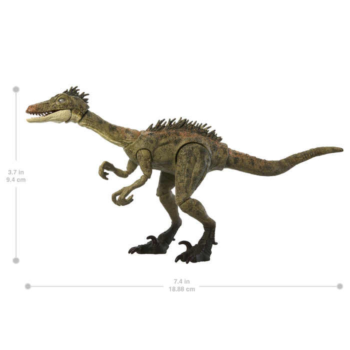 Mattel Jurassic World Hammond Collection - Troodon Jdj11
