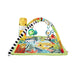 EAN 0194735095919 - Fisher-Price HJW08 gimnasio para bebé y tapete de juego Tela, Plástico Multicolor Manta de juegos para be imagen 5