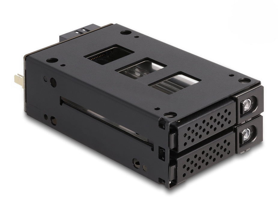 Delock 47019 Estante Móvil De Bahía Delgada Para 2 X 2.5? U.2 Nvme Ssd