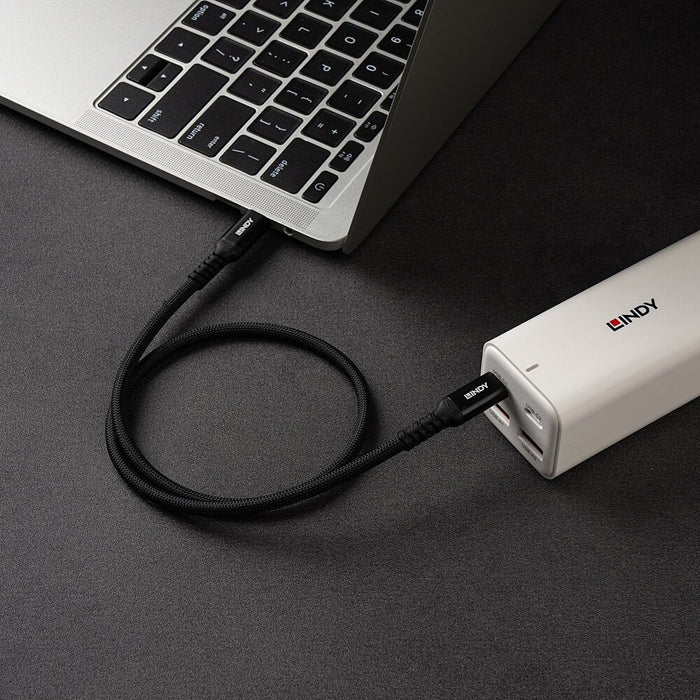 Lindy Cable Usb-C 100w Pd 2m Negro