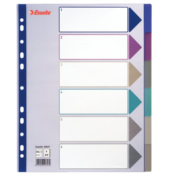 EAN 5024942206479 - Esselte Plastic tab, A4 Separador en blanco con pestaña Cloruro de polivinilo (PVC) imagen 1
