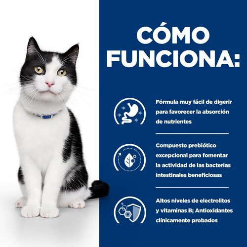 EAN 0052742043142 - Hills 605877 comida húmeda para gatos 3 kg imagen 4