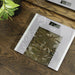EAN 8435484043366 - Cecotec Surface Precision Healthy Plaza Gris, Transparente, Blanco Báscula personal electrónica imagen 6