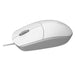 EAN 6940056181022 - Rapoo N100 ratón Oficina Ambidextro Óptico 1600 DPI imagen 2