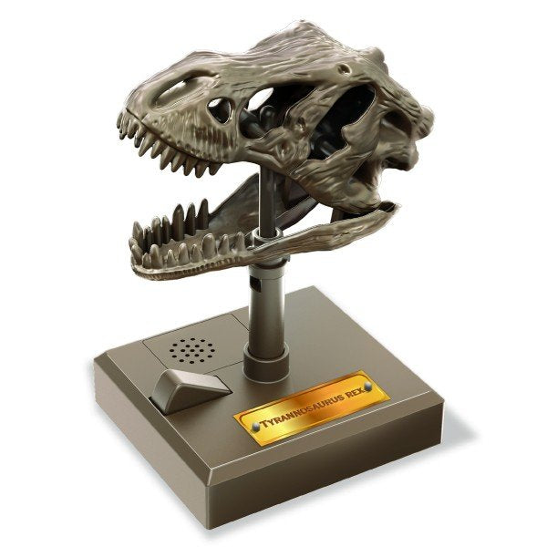 4m Dino Skull