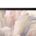EAN 5397184931820 - DELL Pro 14 Premium PA14250 Copilot+ PC Intel Core Ultra 7 266V Portátil 35,6 cm (14") Full HD+ 16 GB LPD imagen 10