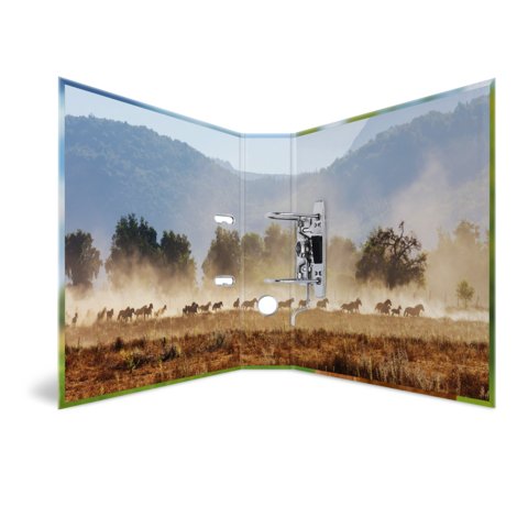 Herma Ordner A4 Karton Pferd