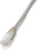 EAN 4015867146668 - Equip 825415 cable de red Beige 7,5 m Cat5e U/UTP (UTP) imagen 1