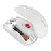 EAN 4025112112140 - CHERRY JW-T2200-0 ratón Hogar Ambidextro RF inalámbrico Óptico 1300 DPI imagen 6