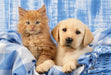EAN 4001504563615 - Schmidt Spiele 56361 puzzle Puzzle rompecabezas 48 pieza(s) Animales imagen 4